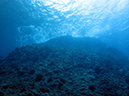 2011-10-06 Blue Hole Guam (25)