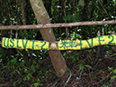 2011-10-13 - Peleliu (9)