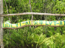 2011-10-13 - Peleliu (13)