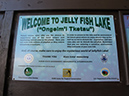 2011-10-15 - Jellyfish Lake (1)