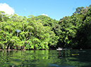 2011-10-15 - Jellyfish Lake (3)