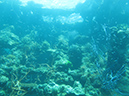 2011-10-20 - Olympia Maru Wreck Sangat Island (6)