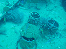 2011-10-20 - Olympia Maru Wreck Sangat Island (2)
