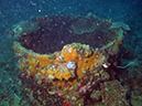 2011-10-22 - Okikawa Maru Tanker Wreck Sangat Island (8)