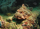 2011-10-24 - Olympia Maru wreck Sangat Island (9)