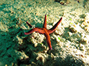 2011-10-23 - Lusong Reef off off Lusong Island Sangat Island (7)