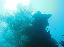 2011-10-23 - Kogya Maru Wreck Sangat Island (3)
