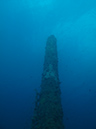 2011-10-20 - Olympia Maru Wreck Sangat Island (20)