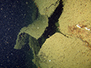 2011-10-24 - Akitsushima Wreck Sangat Island (4)