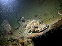 2011-10-20 - Olympia Maru Wreck Sangat Island (10)