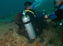 2011-10-24 - Akitsushima Wreck Sangat Island (14)