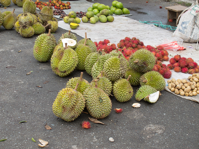 %_tempFileName2013_02-20-Manokwari_Walk_About-26%