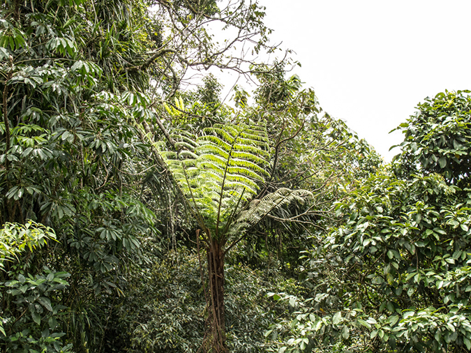 %_tempFileName2013_03_05-2-Bajawa-to-Labaun-Bajo-Lake-Ranamese-2%