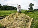 %_tempFileName2013_03_05-4-Bajawa-to-Labaun-Bajo-Rice-Paddys-7%