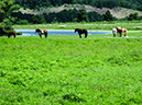 %_tempFileName2014-06-19_01_Around_Lake_Canandaigua-14%