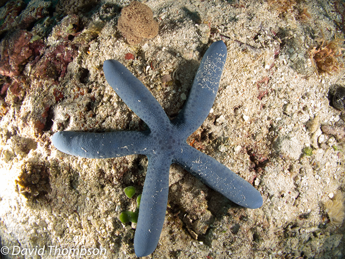 %_tempFileName2012-07-03_2_Ternate_Island_Babylon%20(57)%