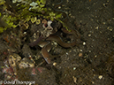 %_tempFileName2012-07-04_4_Alor_Island_Kalabahi_Bay_Mucky_Mosque%20(31)%