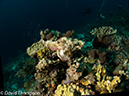 %_tempFileName2012-07-05_2_Pura_Island_Pakyans_Village%20(30)%