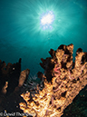 %_tempFileName2012-07-05_2_Pura_Island_Pakyans_Village%20(42)%