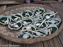 %_tempFileName2012-07-08_0_Flores_Island%20(10)%