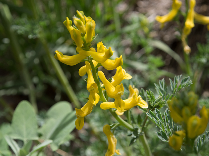 %_tempFileName2014-05-16_02_Bandelier_National_Monument-20%