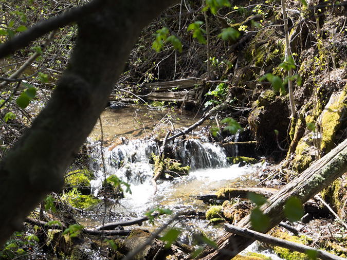 %_tempFileName2014-05-26_01_Lobo_Peak_Trail-5%