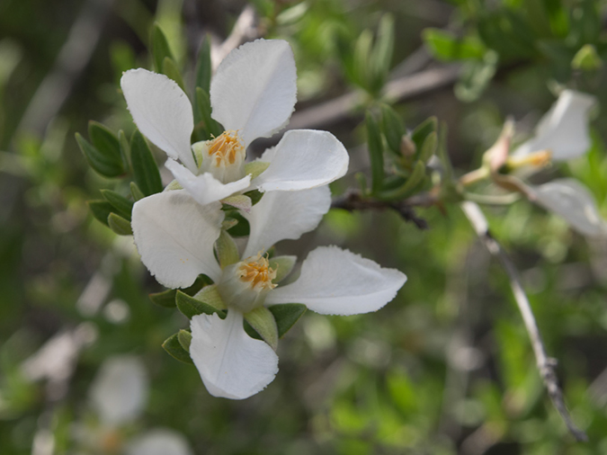 %_tempFileName2014-05-27_03_Taos_to_Farmington-13%