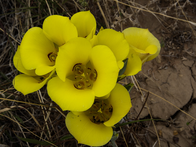 %_tempFileName2014-05-28_01_Farmington_to_Kanab-11%