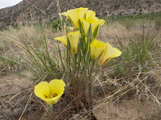 %_tempFileName2014-05-28_01_Farmington_to_Kanab-12%