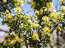 %_tempFileName2014-05-14_01_Painted_Desert_Petrifie_Forest_National_Park-17%