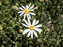 %_tempFileName2014-05-14_01_Painted_Desert_Petrifie_Forest_National_Park-22%