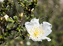 %_tempFileName2014-05-15_01_Kasha-Katuwe_Tent_Rocks_National_Monument-2%