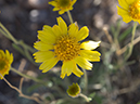 %_tempFileName2014-05-15_01_Kasha-Katuwe_Tent_Rocks_National_Monument-49%