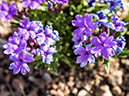 %_tempFileName2014-05-16_01_Atalaya_Mountain_Santa_Fe-1%
