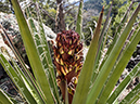 %_tempFileName2014-05-16_01_Atalaya_Mountain_Santa_Fe-14%