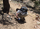 %_tempFileName2014-05-16_01_Atalaya_Mountain_Santa_Fe-21%