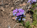 %_tempFileName2014-05-16_01_Atalaya_Mountain_Santa_Fe-24%