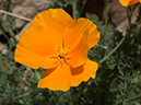 %_tempFileName2014-05-16_01_Atalaya_Mountain_Santa_Fe-26%