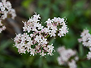 %_tempFileName2014-05-16_01_Atalaya_Mountain_Santa_Fe-8%