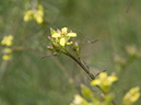 %_tempFileName2014-05-16_02_Bandelier_National_Monument-2%