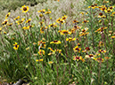 %_tempFileName2014-05-16_02_Bandelier_National_Monument-7%