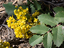 %_tempFileName2014-05-17_01_La_Vega_Loop_Santa_Fe_Ski_Area-15%