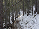 %_tempFileName2014-05-17_01_La_Vega_Loop_Santa_Fe_Ski_Area-2%