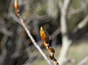 %_tempFileName2014-05-20_01_Big_Tesuque_Bear_Wallow_Loop_Santa_Fe-2%