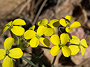 %_tempFileName2014-05-20_01_Big_Tesuque_Bear_Wallow_Loop_Santa_Fe-21%
