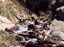 %_tempFileName2014-05-20_01_Big_Tesuque_Bear_Wallow_Loop_Santa_Fe-32%