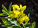 %_tempFileName2014-05-21_01_Gloreitta_Baldy_Hike-1%