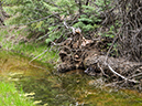 %_tempFileName2014-05-21_01_Gloreitta_Baldy_Hike-13%