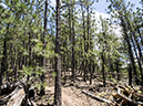 %_tempFileName2014-05-21_01_Gloreitta_Baldy_Hike-37%