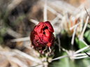 %_tempFileName2014-05-23_0_Rio_Grande_del_Norte_National_Monument-10%